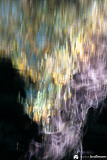 DSC1282