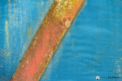 DSC5450
