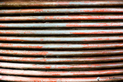 DSC5469