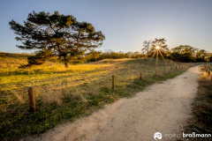 DSC0864-HDR