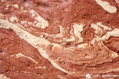 DSC0329