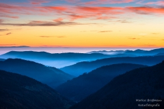 _DSC3558
