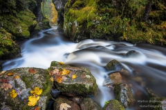 _DSC3543