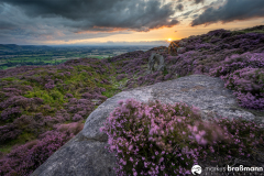 DSC1333-HDR