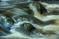 _DSC3130