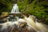 _DSC3245