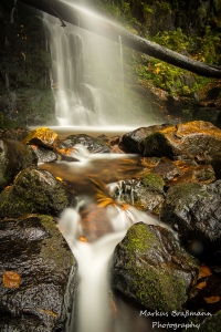 _DSC4088