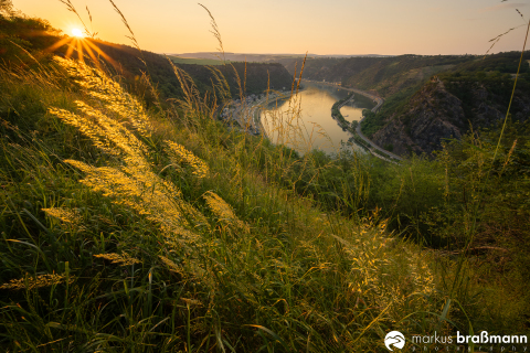 DSC6760-Verbessert-RR