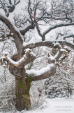 20101126-_DSC6526
