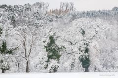 20101126-_DSC6545