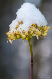 20101128-_DSC6568