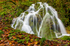 _DSC0061