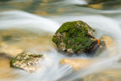 _DSC0088