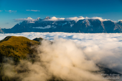 _DSC0153