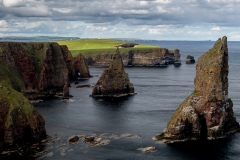DSC2561