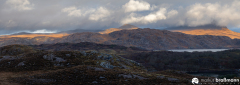 DSC4299-Pano