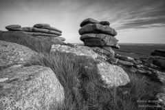 _DSC0334