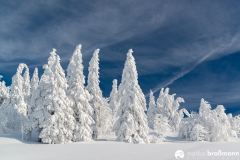 Feldberg-Winter-10-von-12