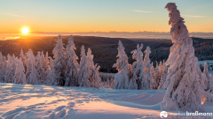 Feldberg-Winter-3-von-12