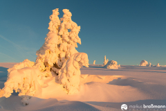 Feldberg-Winter-4-von-12
