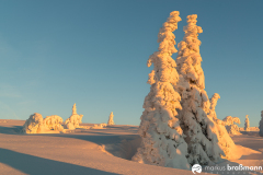Feldberg-Winter-5-von-12