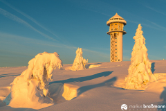 Feldberg-Winter-6-von-12