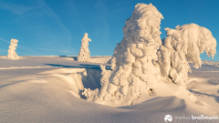 Feldberg-Winter-9-von-12
