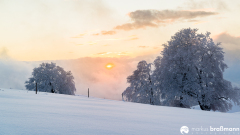Schauinsland-Winter-147-von-150