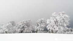 Schauinsland-Winter-53-von-150