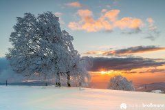 Schauinsland-winter-66-von-101