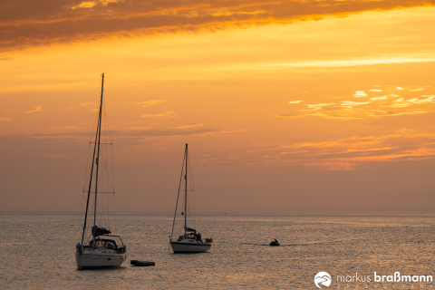 DSC0462-Verbessert-RR