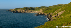 DSC5367-Panorama