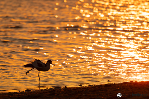 DSC4522-Verbessert-RR