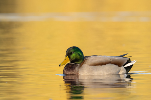 DSC4716-Verbessert-RR